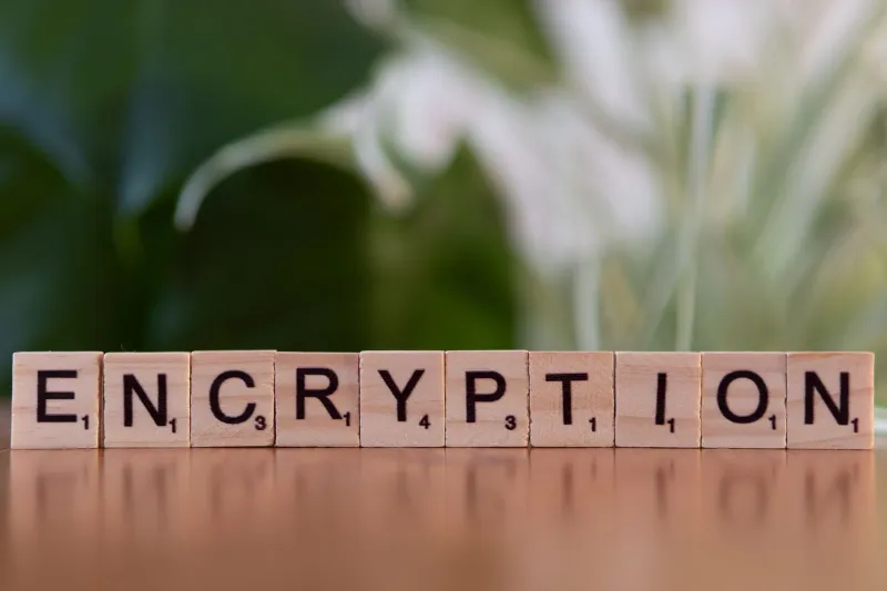 Guarded in Plain Sight: The Privacy Architecture Behind Premium Companionship Platforms